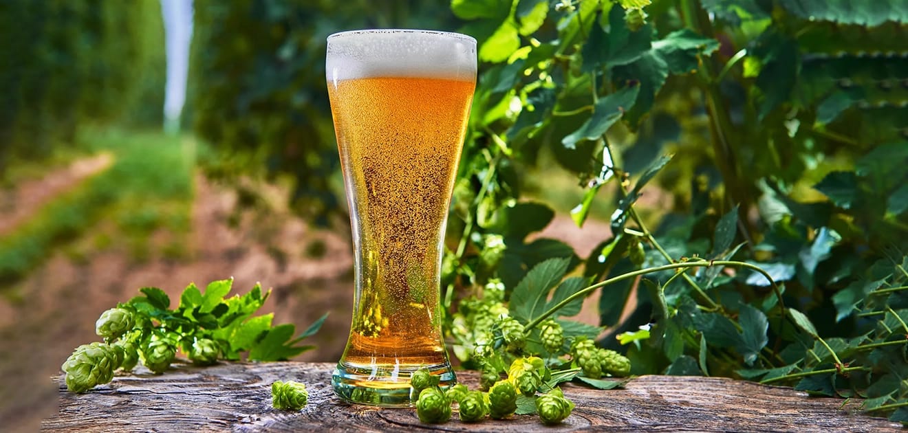 セゾンとはどのようなビール?魅力やおすすめ商品、美味しく飲む方法を紹介!
