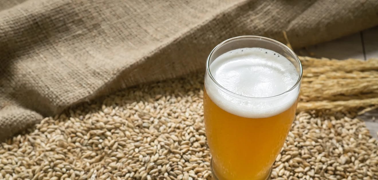ビールの原料の「麦」について解説!大麦と小麦の違いは?