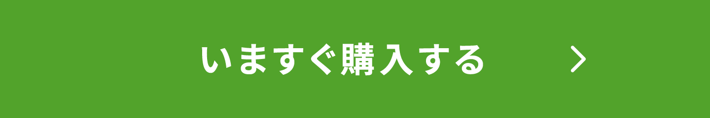 いますぐ購入する　
