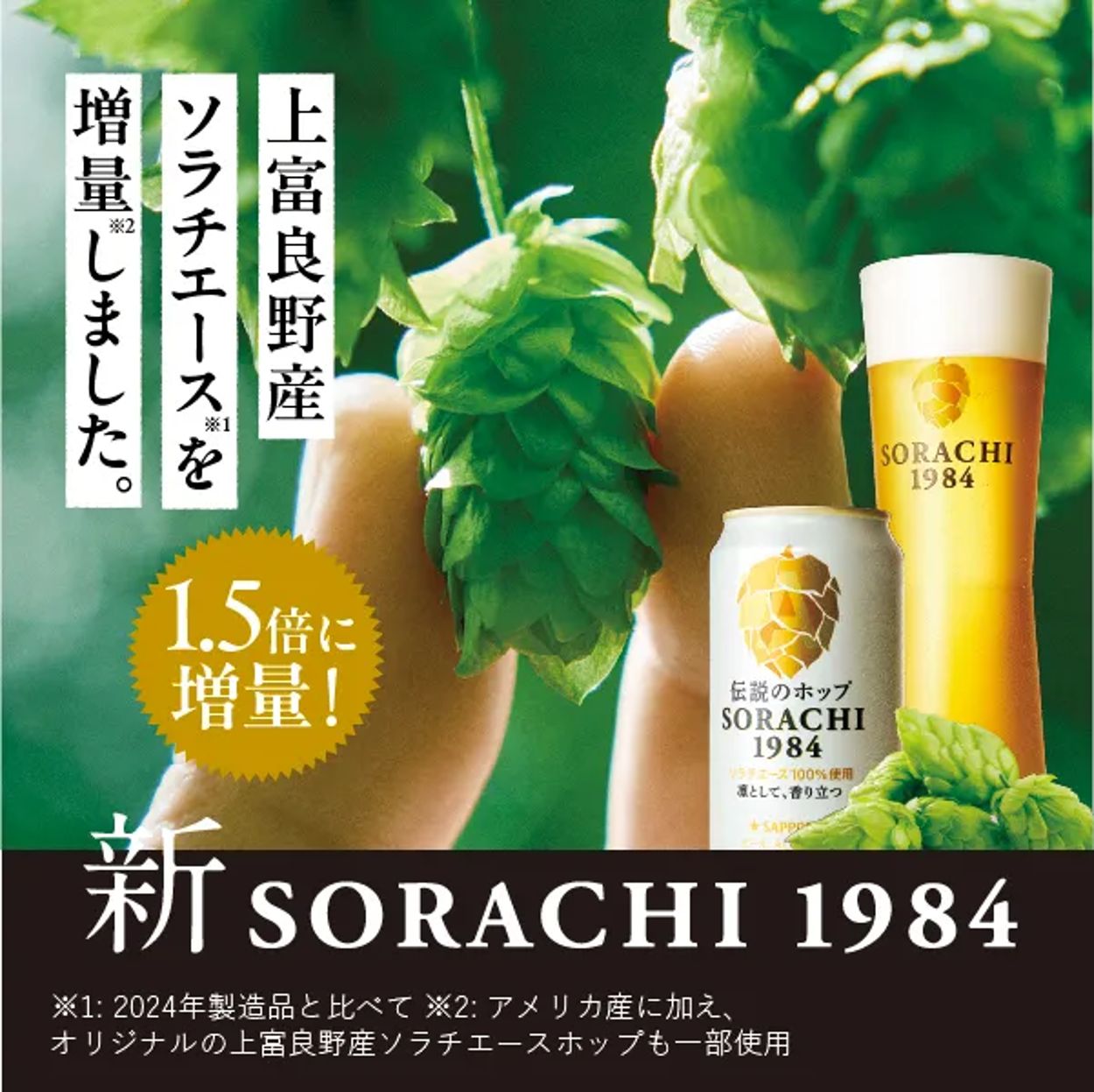 サッポロ SORACHI 1984 - サッポロビール直営オンラインストア サッポロ SORACHI 1984 - サッポロビール直営オンラインストア