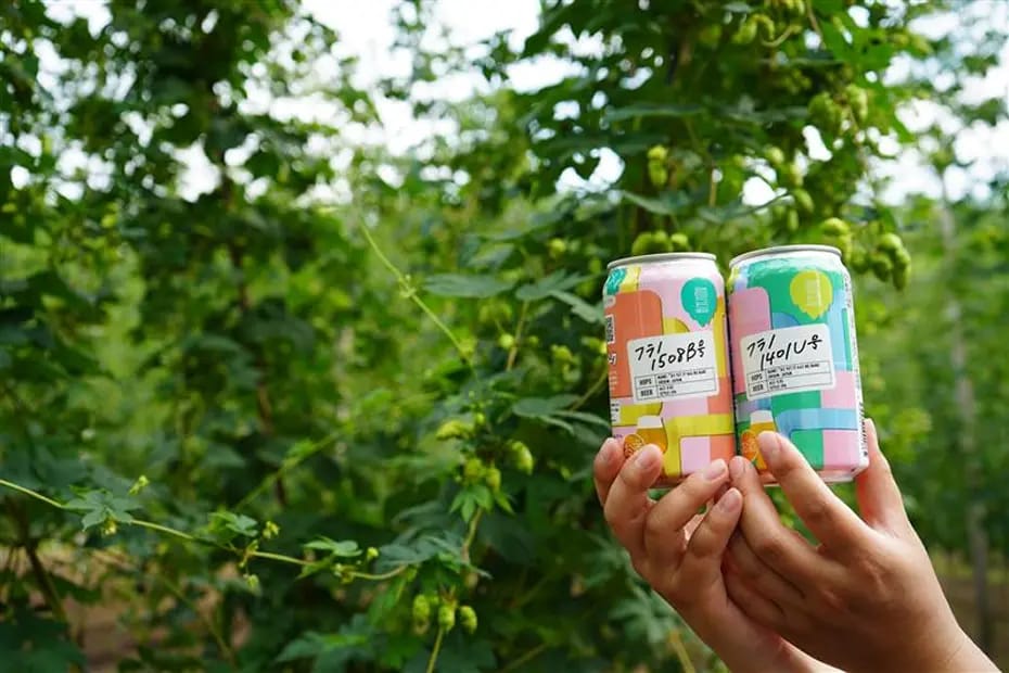 サッポロビール新品種ホップ飲み比べー製造のこだわりー