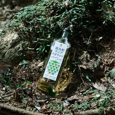これは新しいホップ体験！「富良野ホップスピリッツ」