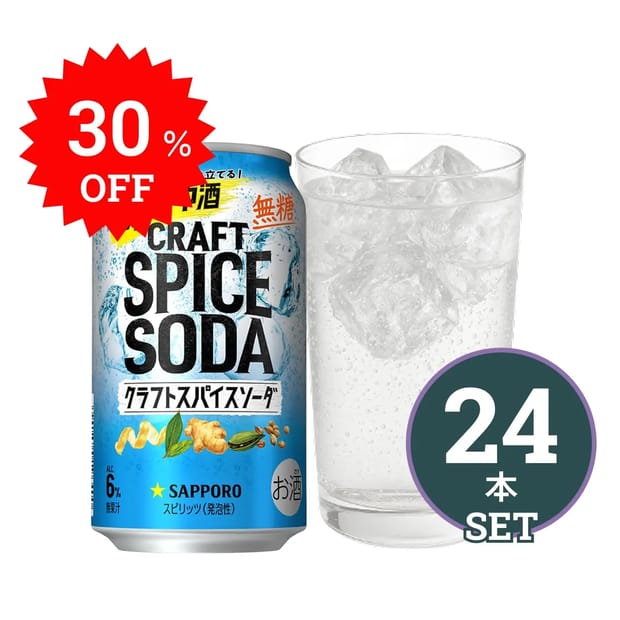 クラフトスパイスソーダ　24本セット