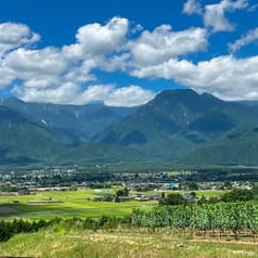 テロワール体験セット 白